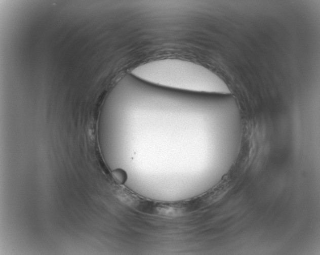 X0000067870561200604131017