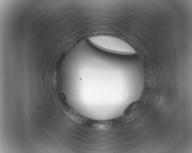 X0000067870563200604131018