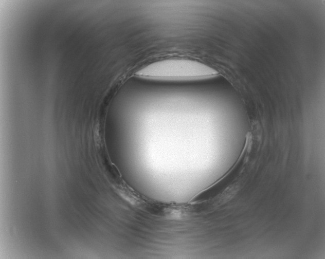 X0000067870564200604131018