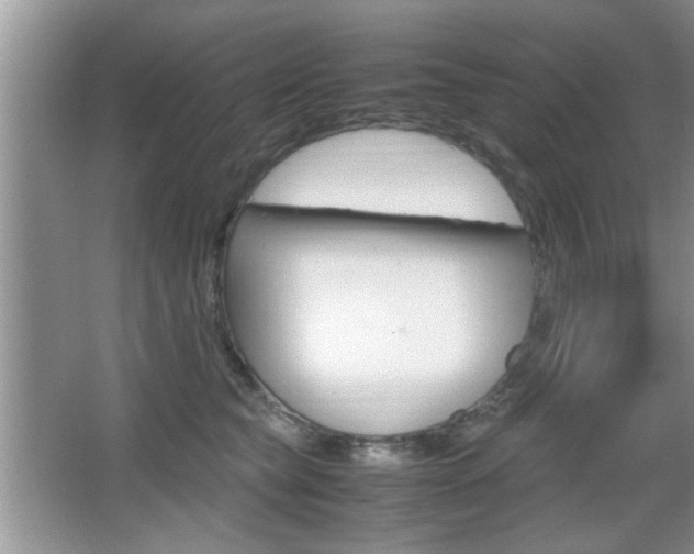 X0000067870565200604131018