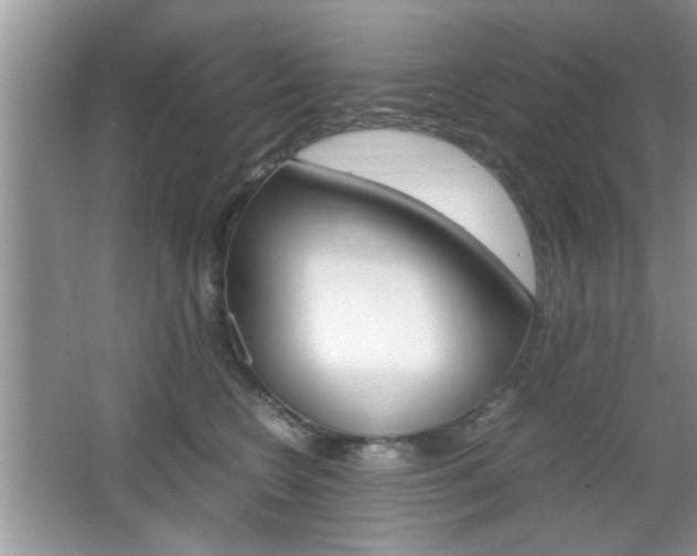 X0000067870566200604131018