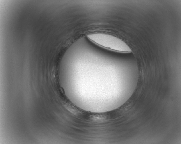 X0000067870567200604131018