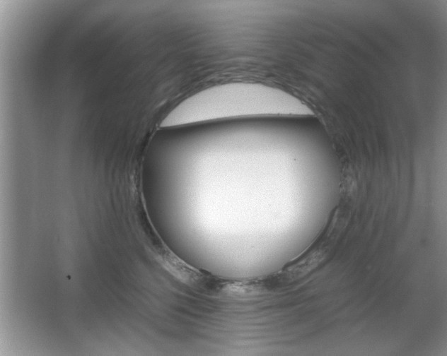 X0000067870568200604131018