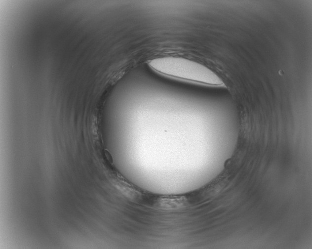 X0000067870571200604131018