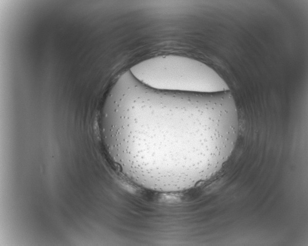 X0000067870573200604131018