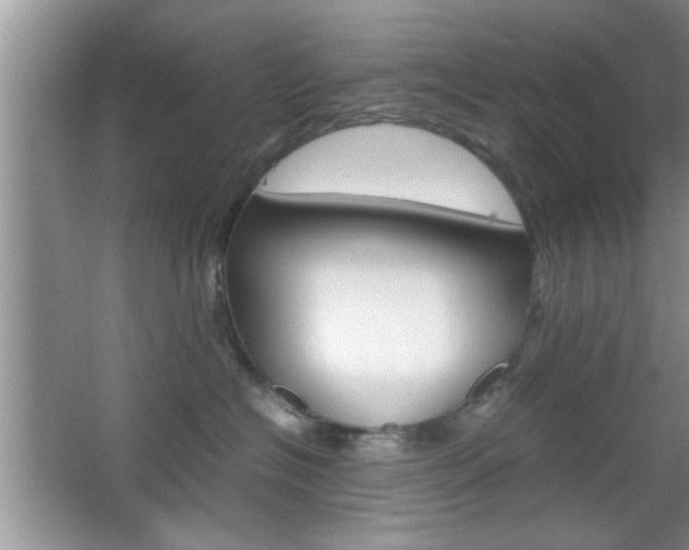 X0000067870574200604131018