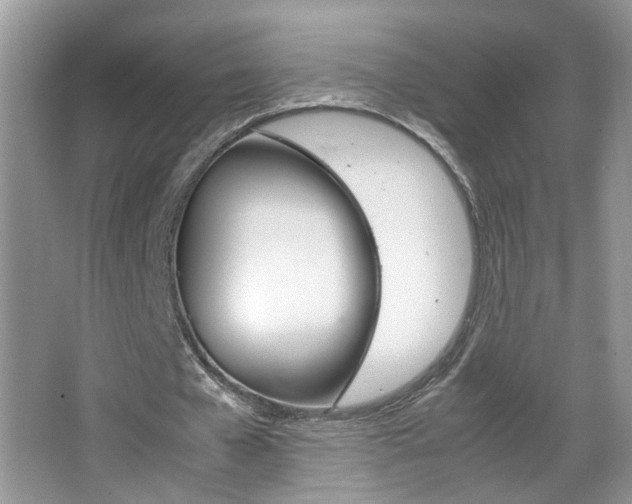 X0000067870577200604131017