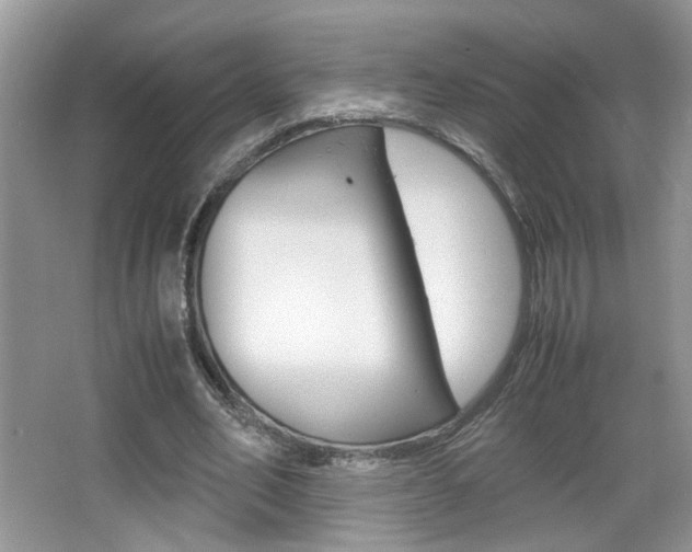 X0000067870582200604131017