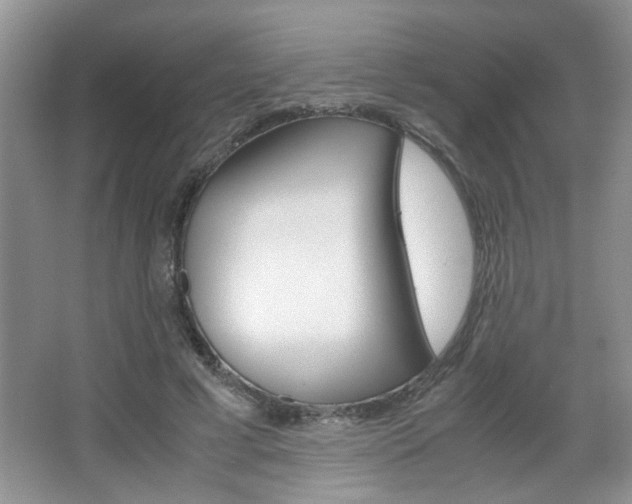 X0000067870593200604131017