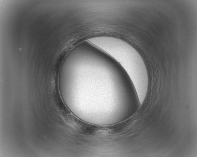 X0000067870595200604131017