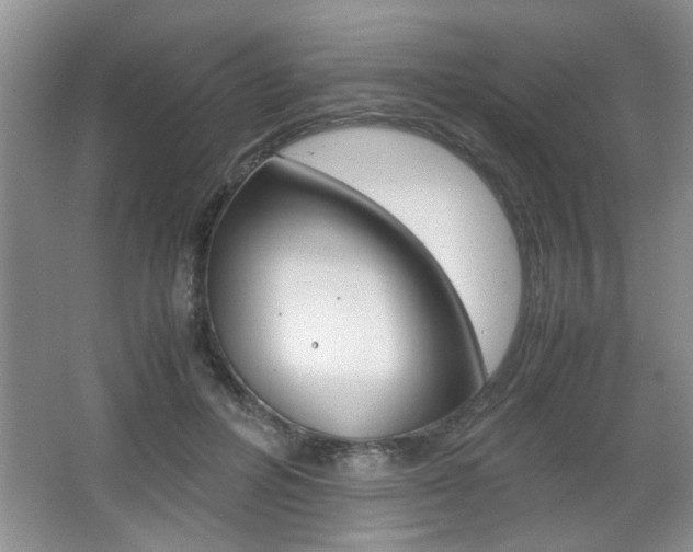 X0000067870600200604131017