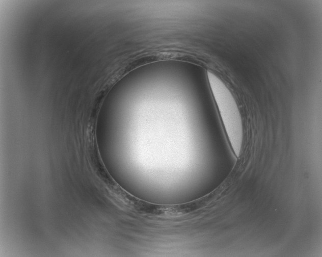 X0000067870601200604131017