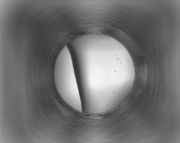 X0000067870602200604131016