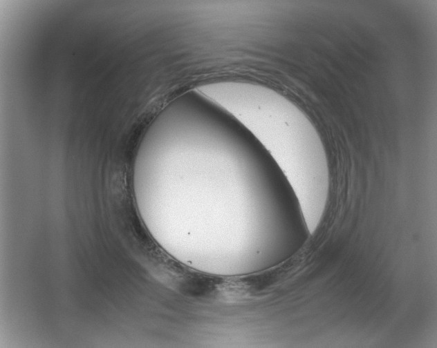 X0000067870603200604131016