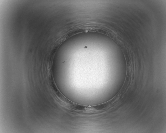 X0000067870605200604131016