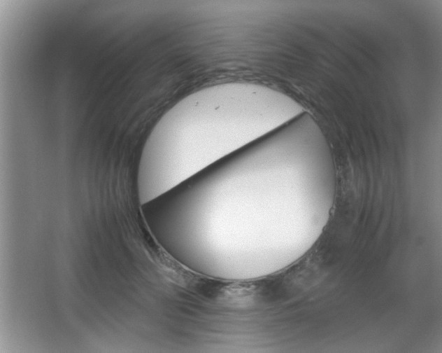 X0000067870606200604131016