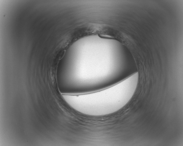 X0000067870607200604131016