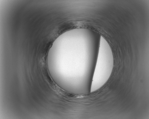 X0000067870611200604131016