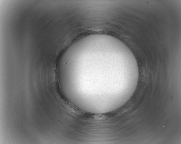 X0000067870612200604131016