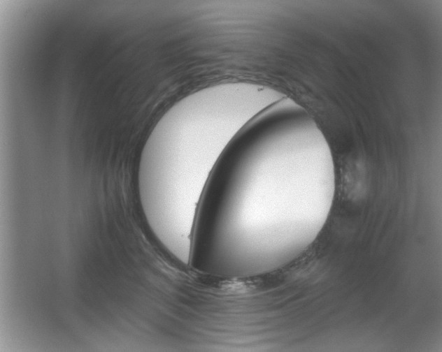 X0000067870616200604131016