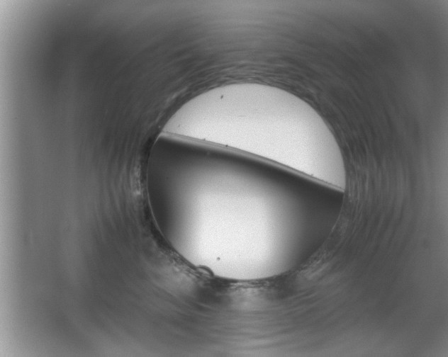 X0000067870620200604131016