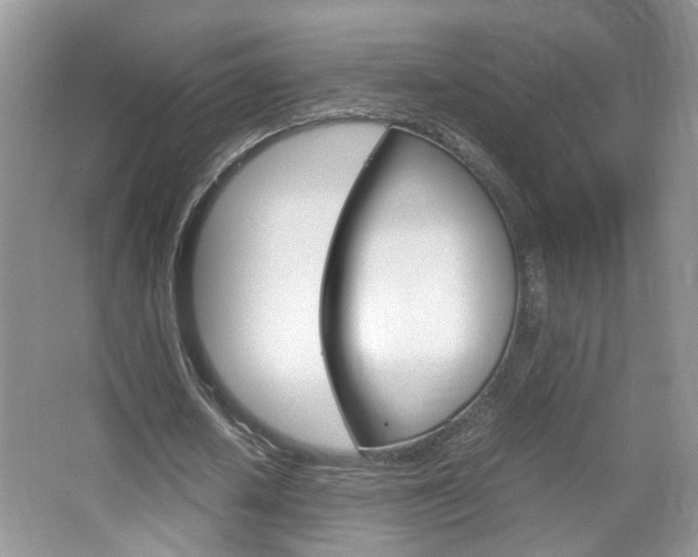 X0000067870626200604131015