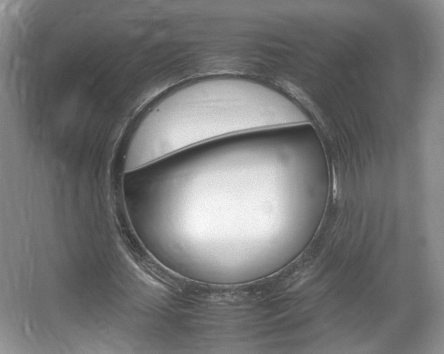 X0000067870627200604131015