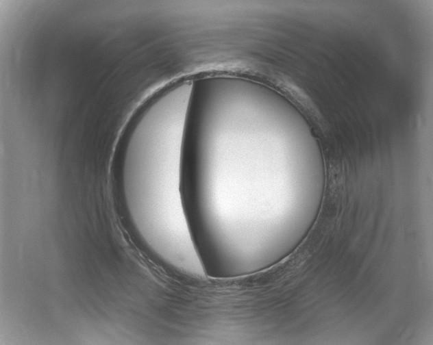 X0000067870628200604131015