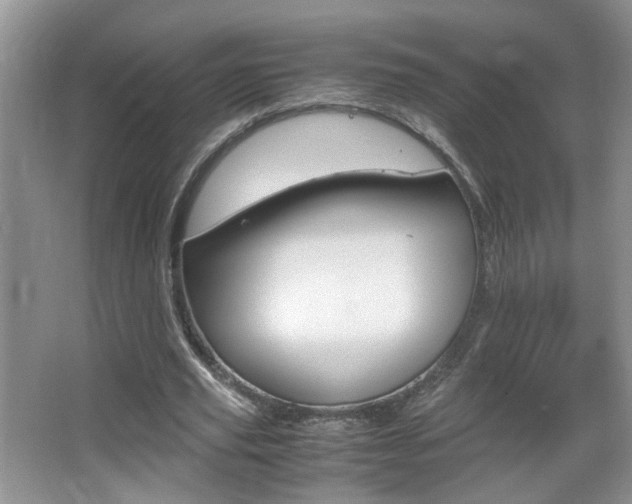 X0000067870629200604131015