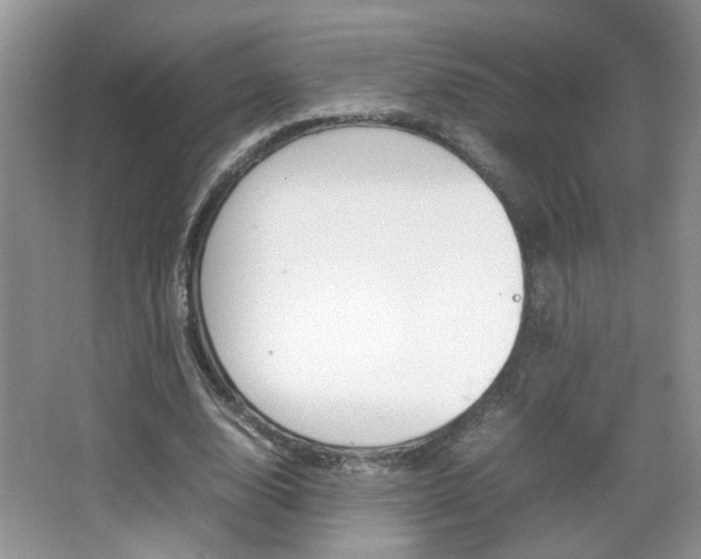 X0000067870632200604131015