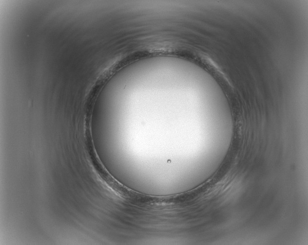 X0000067870637200604131016