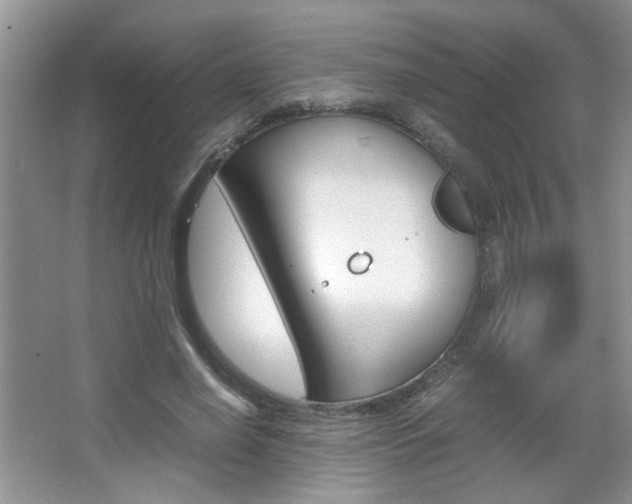 X0000067870638200604131016