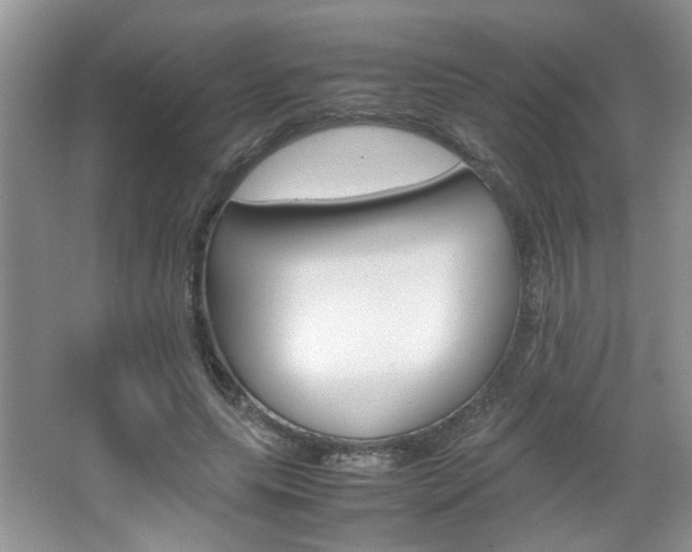 X0000067870639200604131016