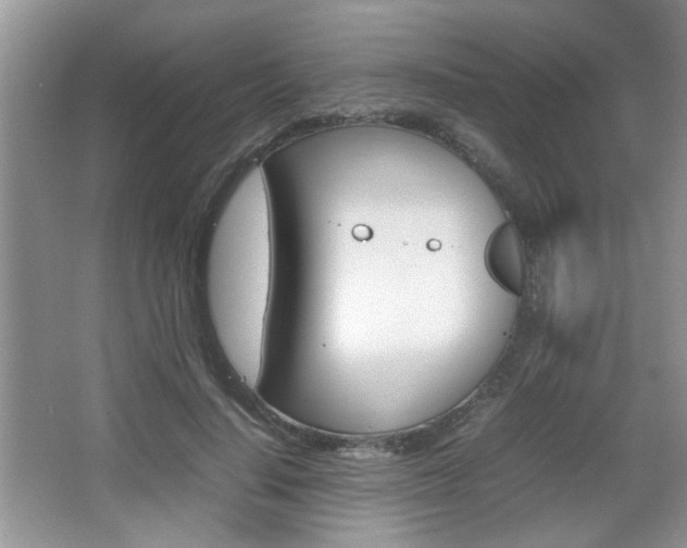 X0000067870644200604131016