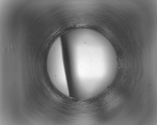 X0000067870648200604131016