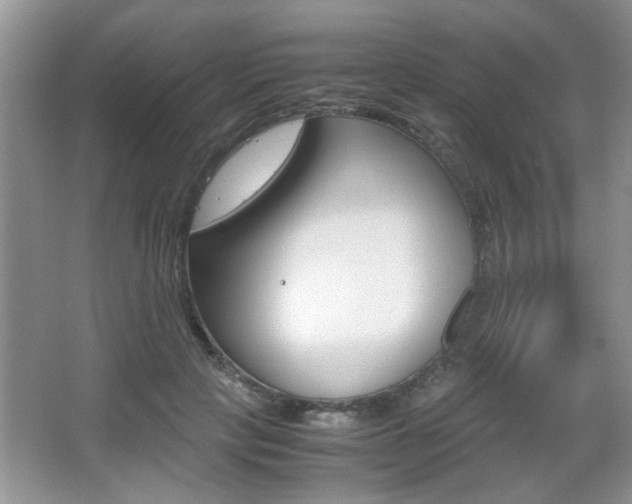 X0000067870649200604131016