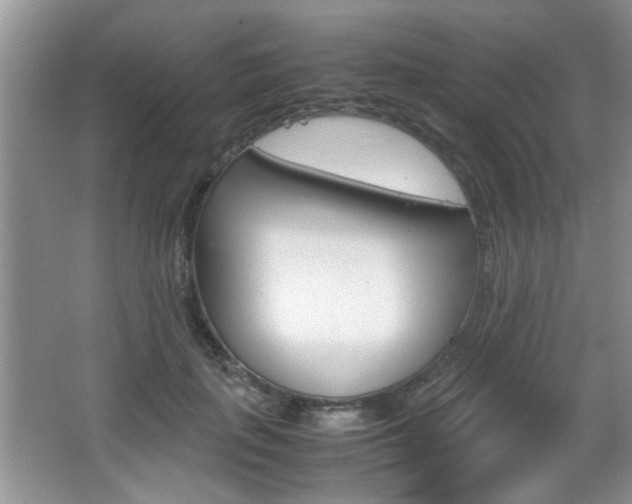 X0000067870651200604131016