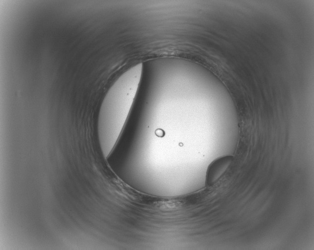 X0000067870652200604131016