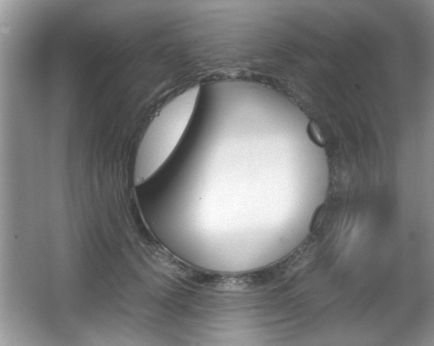 X0000067870656200604131016