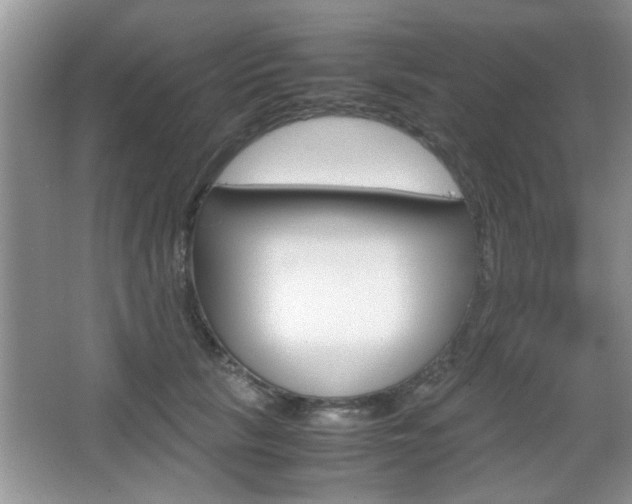 X0000067870657200604131016