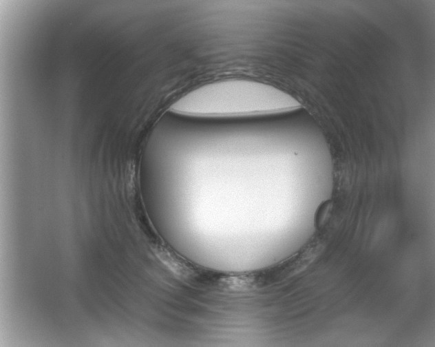 X0000067870660200604131016