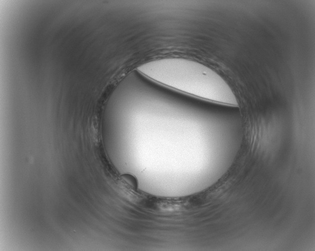 X0000067870661200604131016