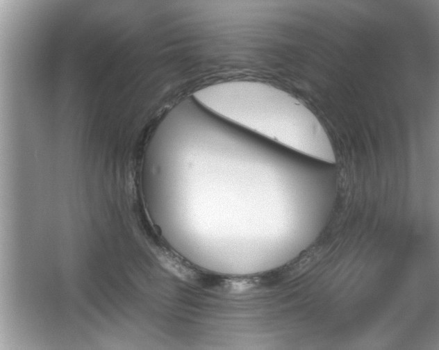 X0000067870662200604131016