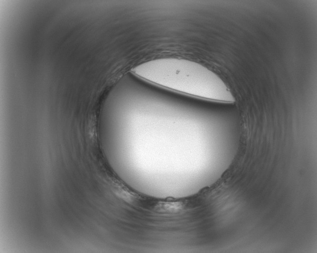 X0000067870665200604131016