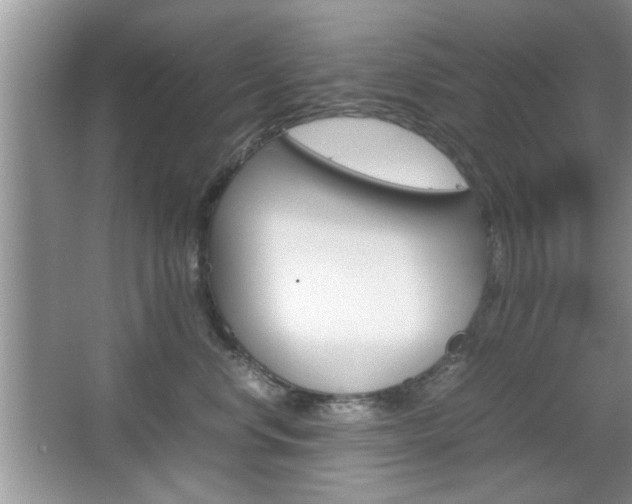 X0000067870668200604131016