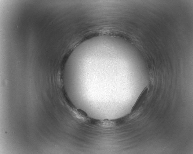 X0000067870670200604131016