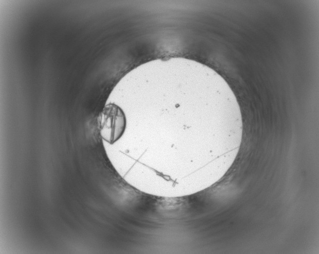 X0000067870672200604131016