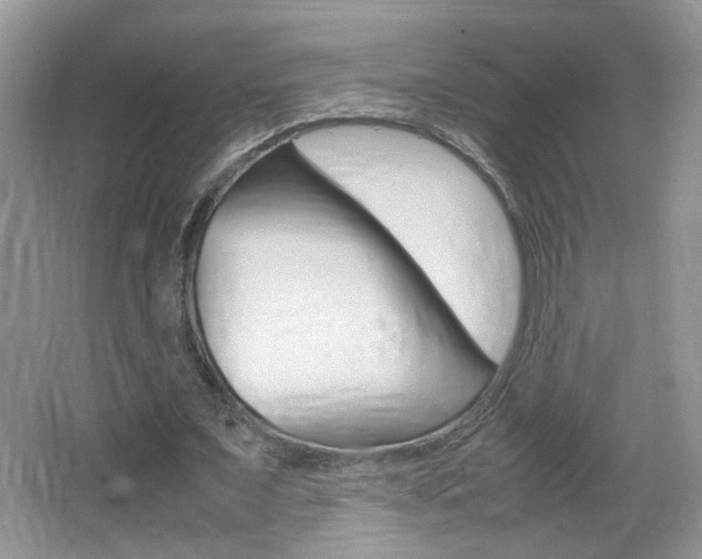 X0000067870675200604131015