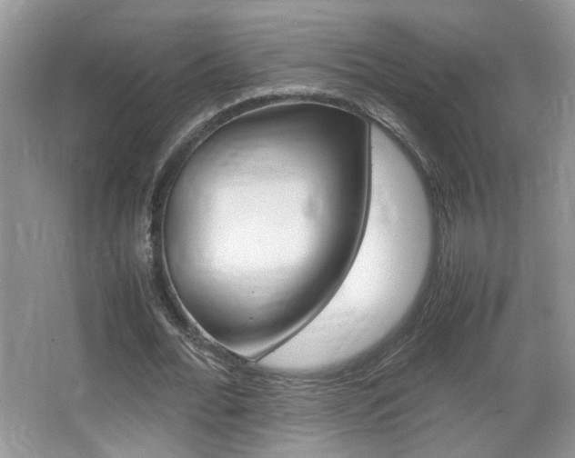 X0000067870676200604131015