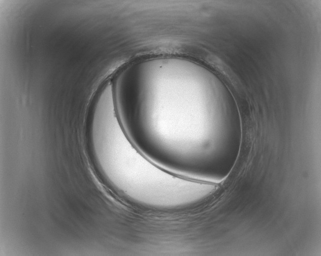 X0000067870677200604131015